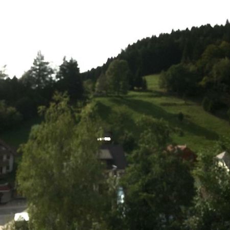 Fewo Mit Pool Haus Enere Au Todtmoos Buitenkant foto