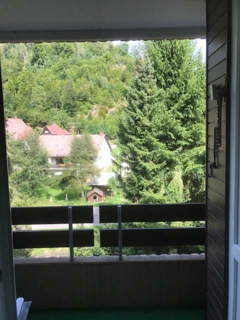 Fewo Mit Pool Haus Enere Au Todtmoos Buitenkant foto